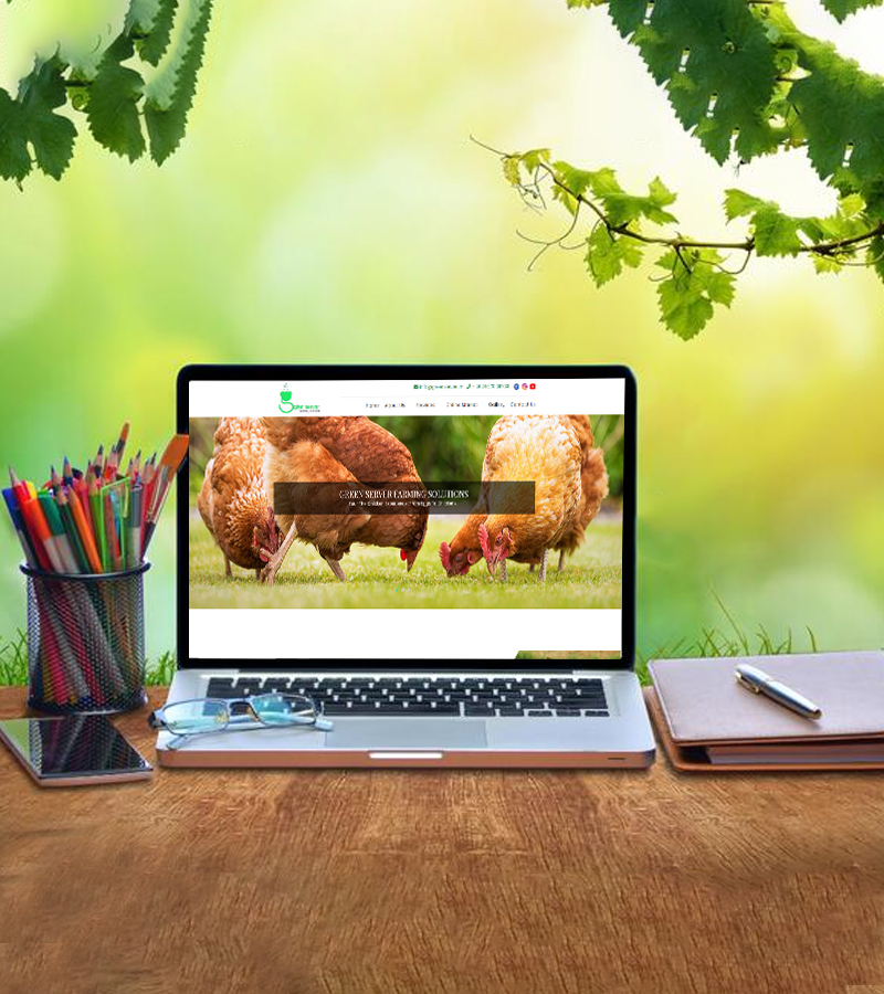 Green Server Farming Solutions - Website